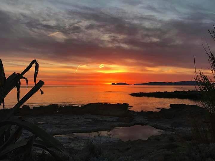 Il Tramonto Balaguer Apartment Alghero Exterior photo